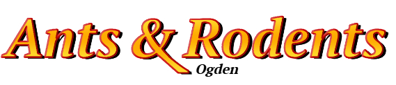 Ogden Ant Exterminator & Rodent Control Company Logo